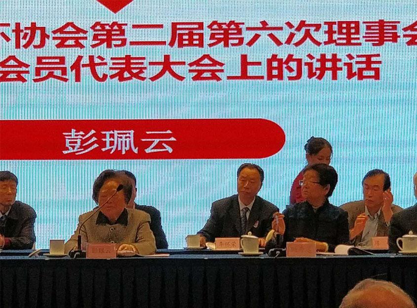 彭珮云发布讲话.jpg