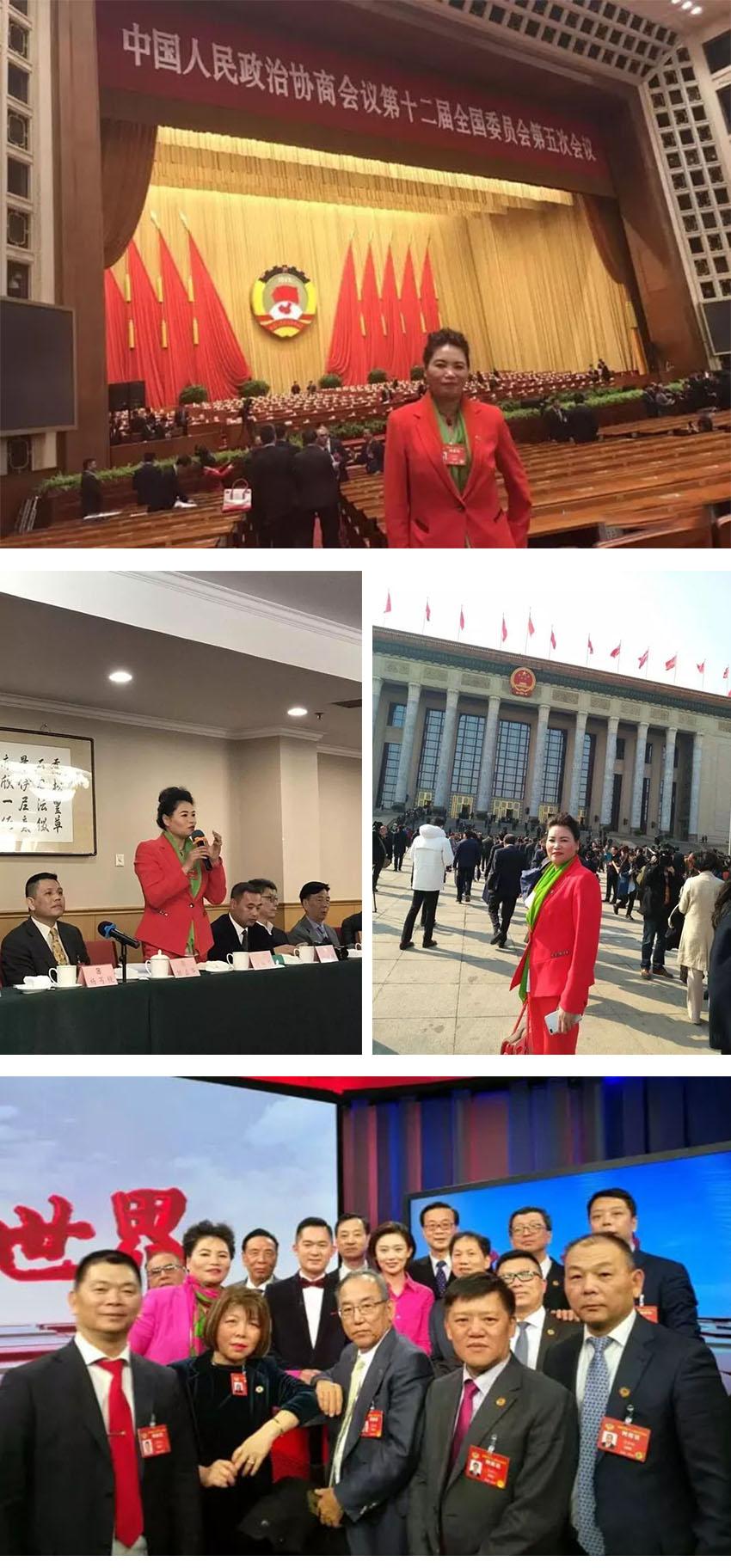 1568870604287933.jpg 2017全国政协会议 (1).jpg