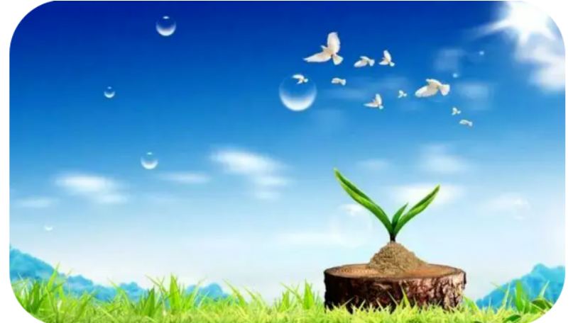 1669956828643644.png 图片.png